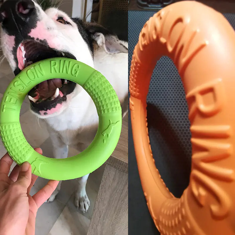PawRing™- The Ultimate Play & Training Toy!
