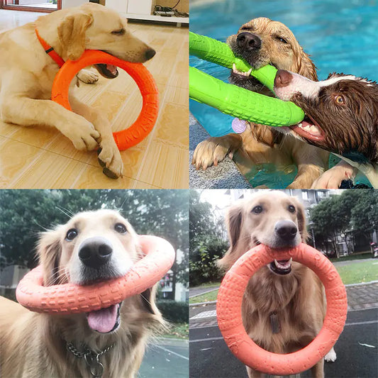 PawRing™- The Ultimate Play & Training Toy!
