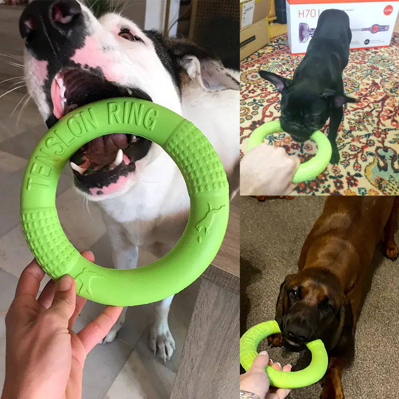 PawRing™- The Ultimate Play & Training Toy!