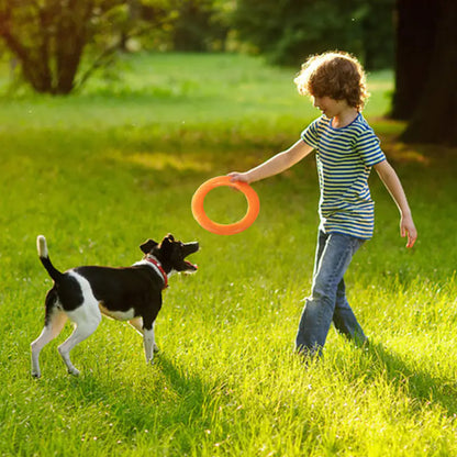 PawRing™- The Ultimate Play & Training Toy!